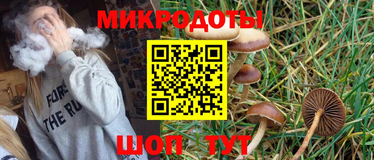 Псилоцибиновые грибы Cubensis  как найти закладки  Прохладный  Вход с VPN 
